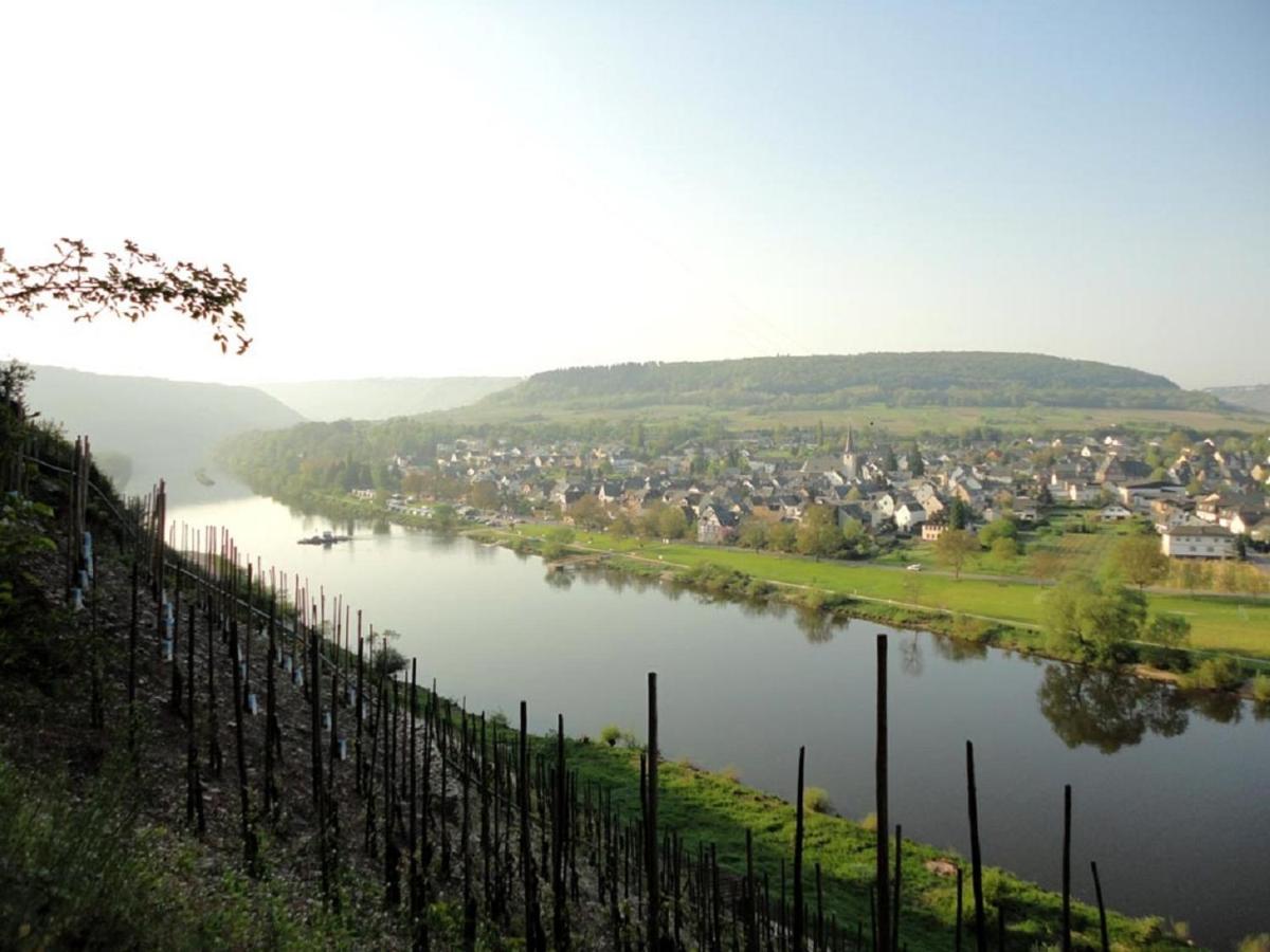 Hotel Wein & Wohngut Paulushof Pünderich Esterno foto